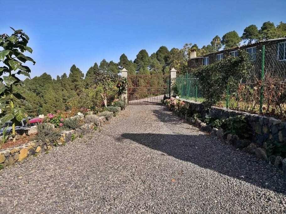 Finca Los Tamarillos Santa Cruz de Tenerife Esterno foto
