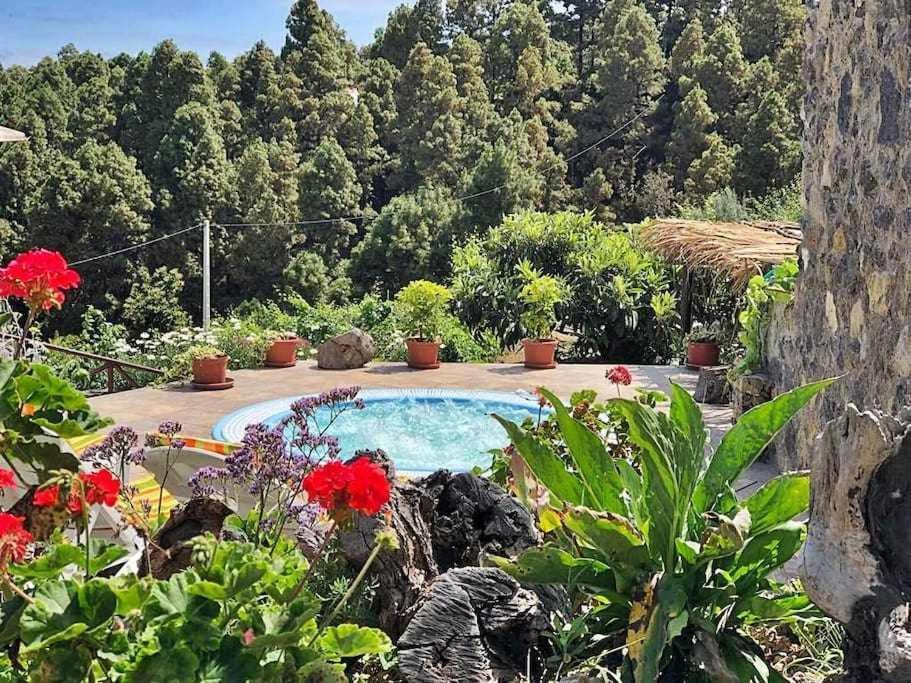 Finca Los Tamarillos Santa Cruz de Tenerife Esterno foto